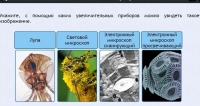 Интерактивные курсы. Биология 5 класс. Расширенный - fgospostavki.ru - Златоуст