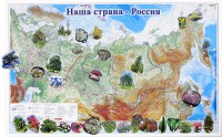 Магнитные карточки "Растения" - fgospostavki.ru - Златоуст