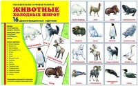 Демонстрационные карточки "Животные холодных широт" - fgospostavki.ru - Златоуст