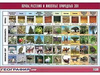 Таблица демонстрационная "Почвы, растения и животные природных зон" (винил 100*140) - fgospostavki.ru - Златоуст