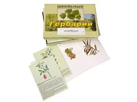 Гербарий "Для начальной школы" (30 видов, с иллюстрациями) - fgospostavki.ru - Златоуст