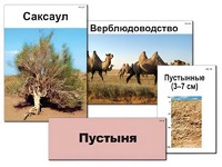Модель-аппликация "Природные зоны России" (ламинированная) - fgospostavki.ru - Златоуст