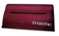 Принтер для печати рельефно-точечным шрифтом Брайля Trident - fgospostavki.ru - Златоуст