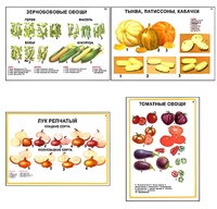 Плакаты ПРОФТЕХ "Ассортимент овощных культур" (12 пл, винил, 70х100) - fgospostavki.ru - Златоуст