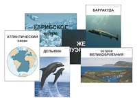 Модель-аппликация "Океаны. Знакомство" (ламинированная) - fgospostavki.ru - Златоуст