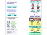 Плакаты ПРОФТЕХ "Классификации и виды мяса" (4 пл, винил, 70х100) - fgospostavki.ru - Златоуст