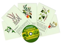 Интерактивный наглядный комплекс "Гербарий "Для начальной школы" - fgospostavki.ru - Златоуст