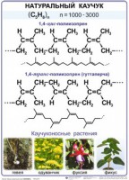 Комплект демонстрационных таблиц по химии "Полимеры" (комплект 12 таблиц) - fgospostavki.ru - Златоуст