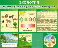 Стенд "Экология. Организация и функционирование сообществ" - fgospostavki.ru - Златоуст