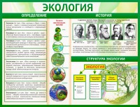 Стенд "Экология" - fgospostavki.ru - Златоуст