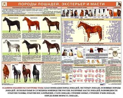 Комплект плакатов "Служебное коневодство" - fgospostavki.ru - Златоуст
