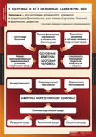 Комплект таблиц. ОБЖ. Здоровый образ жизни. - fgospostavki.ru - Златоуст