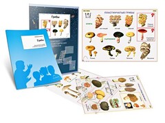 Комплект кодотранспарантов "Грибы" - fgospostavki.ru - Златоуст