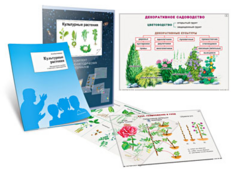 Комплект кодотранспарантов "Культурные растения" - fgospostavki.ru - Златоуст