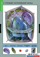 Комплект таблиц. Биология. Вещества растений. Клеточное строение. - fgospostavki.ru - Златоуст