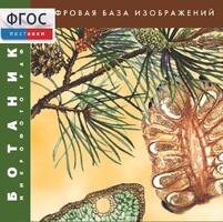 Ботаника. Микрофотографии. (Цифровая база изображений) - fgospostavki.ru - Златоуст