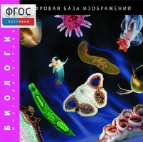 Биология. Микрофотографии. (Цифровая база изображений) - fgospostavki.ru - Златоуст