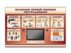 Многофункциональный интерактивный стенд-тренажер "Оказание первой помощи пострадавшим" для учащихся общеобразовательных учреждений - fgospostavki.ru - Златоуст