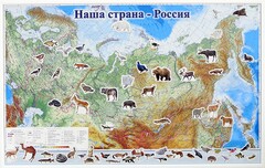 Магнитные карточки "Животные" - fgospostavki.ru - Златоуст