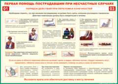 Таблица "Порядок действий при переломах конечностей" (100х140 сантиметров, винил) - fgospostavki.ru - Златоуст