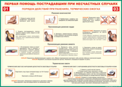 Таблица "Порядок действий при ранениях и термических ожогах" (100х140 сантиметров, винил) - fgospostavki.ru - Златоуст