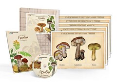 Комбинированное наглядное пособие  «Грибы» - fgospostavki.ru - Златоуст