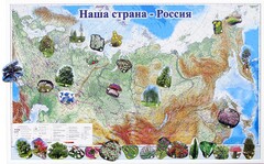 Магнитные карточки "Растения" - fgospostavki.ru - Златоуст