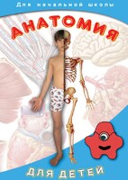 DVD "Анатомия для детей" - fgospostavki.ru - Златоуст