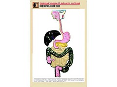 Рельефная таблица "Пищеварительный тракт" (формат А1, матовое ламинирование) - fgospostavki.ru - Златоуст