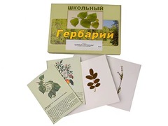 Гербарий "Деревья и кустарники" (22 вида, с иллюстрациями) - fgospostavki.ru - Златоуст