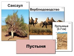 Модель-аппликация "Природные зоны России" (ламинированная) - fgospostavki.ru - Златоуст