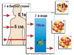 Модель-аппликация "Явление радиоактивности" (ламинированная) - fgospostavki.ru - Златоуст