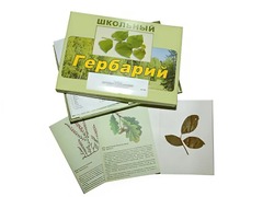 Гербарий "Дикорастущие растения" (30 видов, с иллюстрациями) - fgospostavki.ru - Златоуст