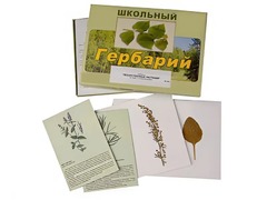 Гербарий "Лекарственные растения" (22 вида с иллюстрациями) - fgospostavki.ru - Златоуст