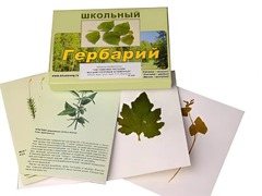 Гербарий "Систематика растений. Высшие споровые и семенные" (раздаточный) - fgospostavki.ru - Златоуст