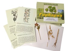 Гербарий "Систематика растений. Семейство Бобовые. Злаки" (раздаточный) - fgospostavki.ru - Златоуст