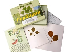 Гербарий "Систематика растений. Семейство Розоцветные" (раздаточный) - fgospostavki.ru - Златоуст