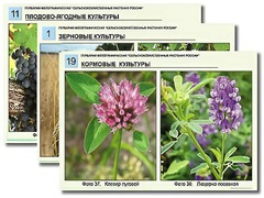 Гербарий фотографический "Сельскохозяйственные растения России" - fgospostavki.ru - Златоуст