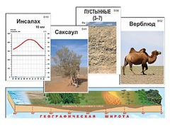 Модель-аппликация "Природные зоны" - fgospostavki.ru - Златоуст