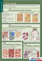 Комплект таблиц. Биология 8-9 класс. Человек. - fgospostavki.ru - Златоуст