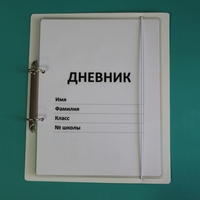 Дневник школьника (с полным набором карточек) - fgospostavki.ru - Златоуст