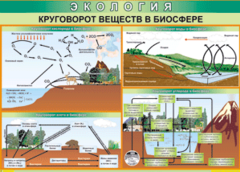 Таблица "Круговорот веществ в биосфере" (100х140 сантиметров, винил) - fgospostavki.ru - Златоуст