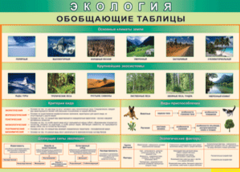 Таблица "Экология. Обобщающие таблицы" (100х140 сантиметров, винил) - fgospostavki.ru - Златоуст