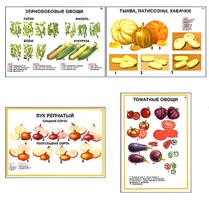 Плакаты ПРОФТЕХ "Ассортимент овощных культур" (12 пл, винил, 70х100) - fgospostavki.ru - Златоуст