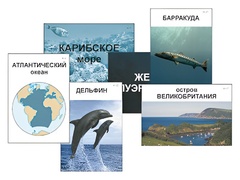 Модель-аппликация "Океаны. Знакомство" (ламинированная) - fgospostavki.ru - Златоуст