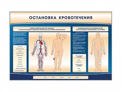 Электрифицированный стенд-тренажер "Остановка кровотечения" - fgospostavki.ru - Златоуст