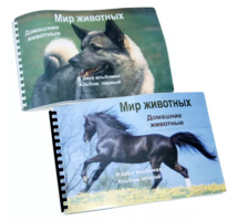 Пособие для слабовидящих - Домашние животные - fgospostavki.ru - Златоуст