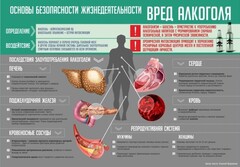 Стенд "Алкоголь" - fgospostavki.ru - Златоуст