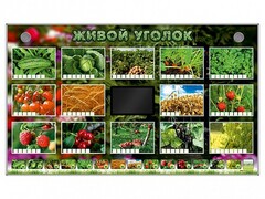Комплект оборудования "Живой уголок" (растения) - fgospostavki.ru - Златоуст
