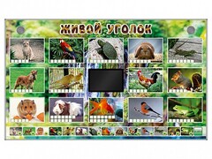 Комплект оборудования "Живой уголок" (животные) - fgospostavki.ru - Златоуст
